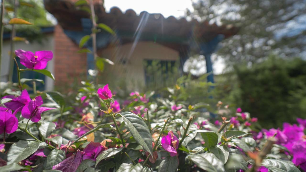 Hotel Termales El Otono à La Enea Extérieur photo A woman watering flowers